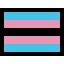 :flag_transgender: