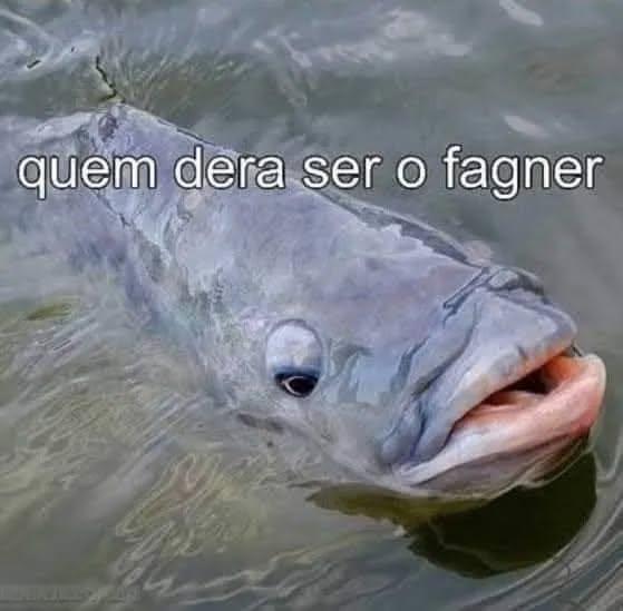 Um peixe pensando como seria bom ser o cantor Fagner