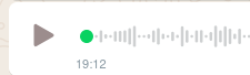 Mensagem de áudio do WhatsApp mostrando duração de 19 minutos e 12 segundos.