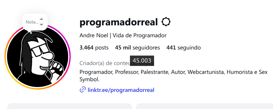 Print do instagram que mostra 45.003 seguidores