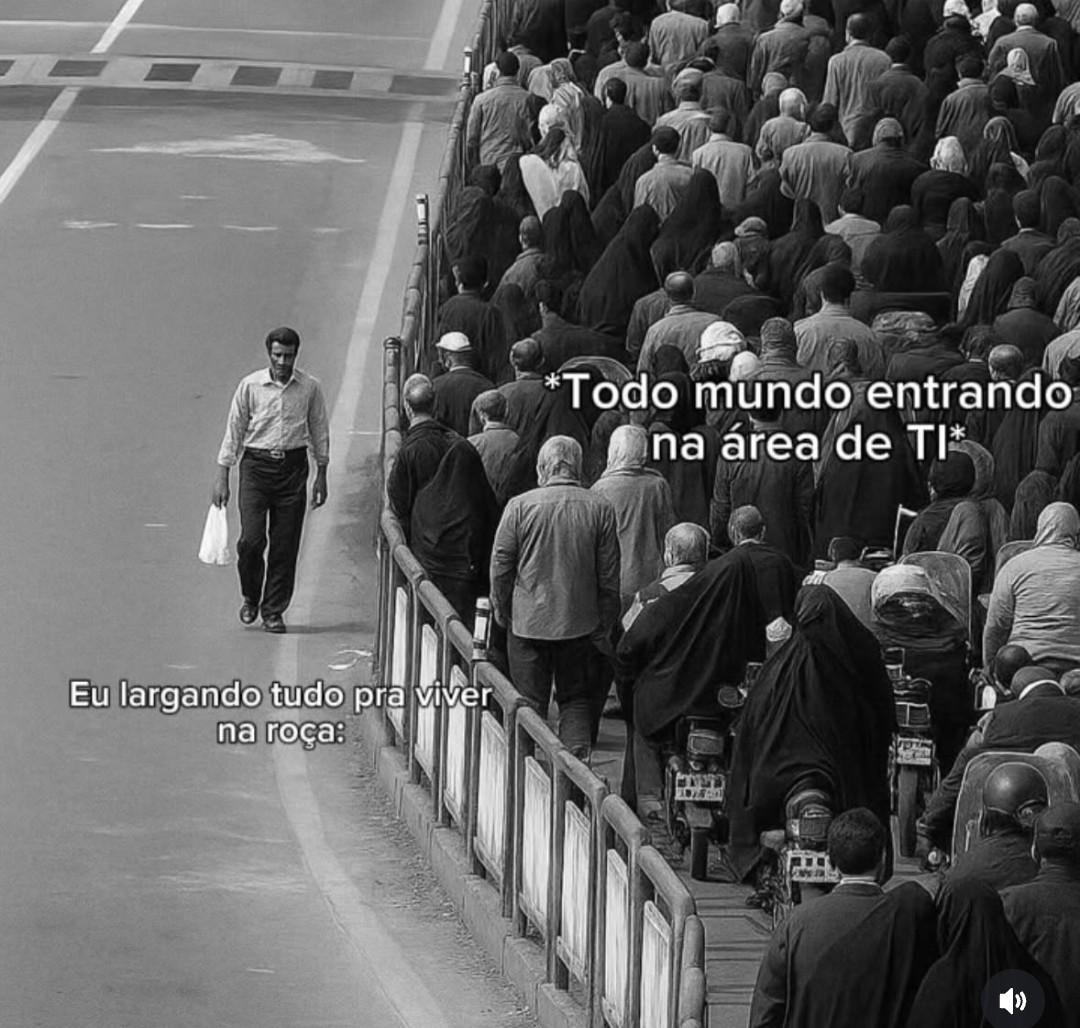 Homem na contramão de uma multidão com as legendas 

na multidão: todo mundo entrando na área de TI 

Homem sozinho: eu largando tudo pra viver na roça